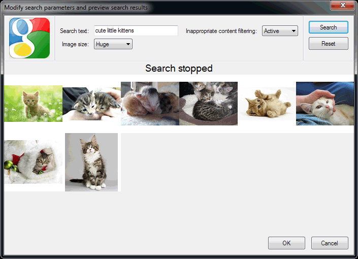 Google Image Search Parameters Window
