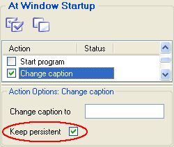 How to keep a window caption unchanged