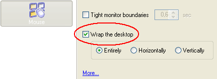 Wrap the Desktop mouse tool' settings
